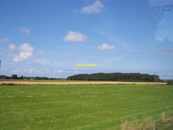 Photo 6"x4" Orrell Hill Wood at Ince Blundell Lady Green\/SD3103 c2012