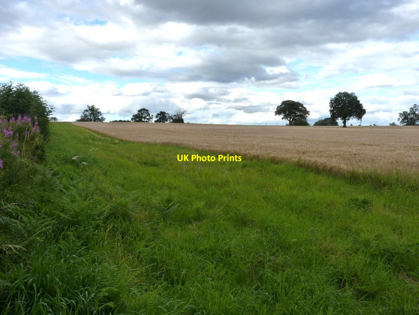 Photo 6"x4" Headland in a field near Blakeley Pool Farm Seisdon c2012