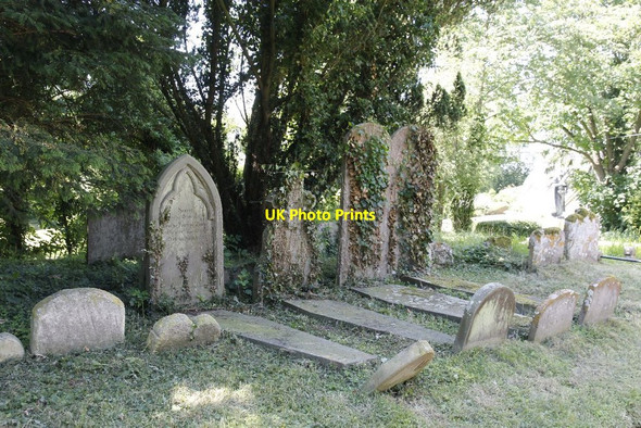 Photo 6"x4" Headstones under the tree Eaton Hastings c2012