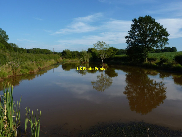 Photo 6"x4" Fishing pool, Kingsnordley Kingsnordley c2012