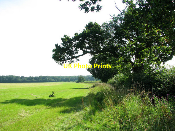 Photo 6"x4" Path along a field's edge Hempnall c2012