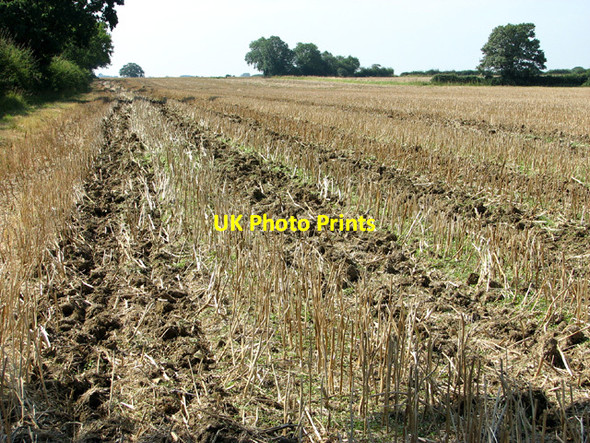 Photo 6"x4" Stubble field west of Saxlingham Grove Hempnall c2012