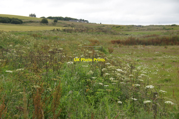 Photo 6"x4" Rough grassland, Newburgh Newburgh\/NJ9925 c2012