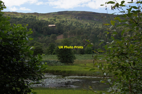 Photo 6"x4" Arm of the River Glass Struy c2012