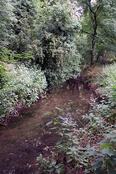 Photo 6"x4" Dollis Brook Hendon\/TQ2389 c2008