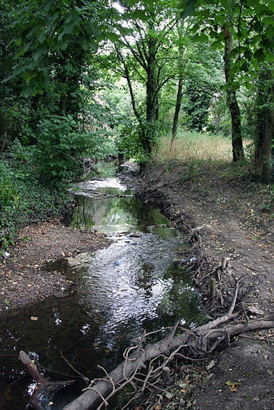 Photo 6"x4" Dollis Brook Finchley c2008