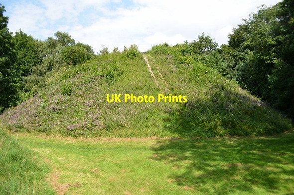 Photo 6"x4" Bartlow Romano-British Tumuli Bartlow c2012