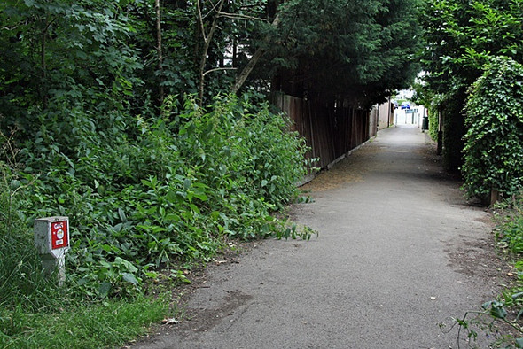 Photo 6"x4" Footpath to Hendon Avenue Finchley c2008