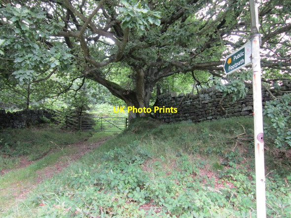 Photo 6"x4" Thornseat Road to Thornseat Delf Thornseat c2012