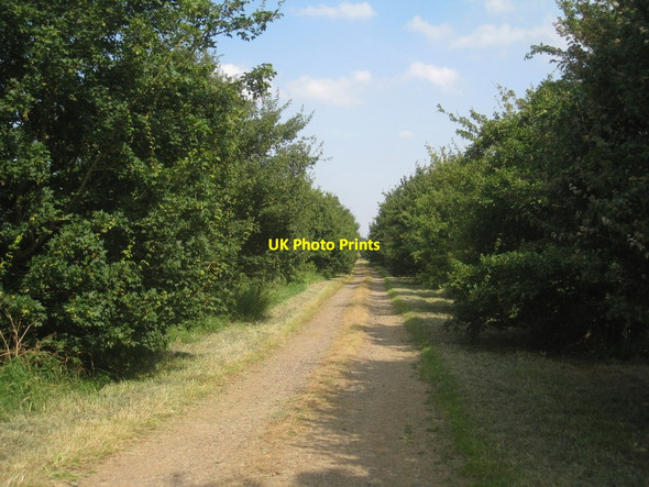 Photo 6"x4" Farm track near Kirkby Green Kirkby Green c2012