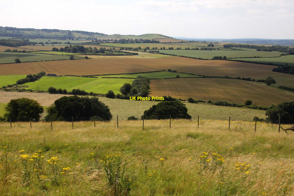 Photo 6"x4" View across the fields towards Gallows Hill Dagnall c2012