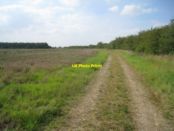 Photo 6"x4" Footpath to Scopwick Kirkby Green c2012