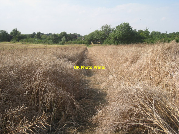 Photo 6"x4" Footpath to Scopwick (2) Kirkby Green c2012