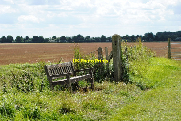 Photo 6"x4" Bench On The Bank Guy's Head c2012