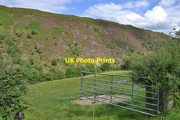 Photo 6"x4" Field and gate east of Tylwch Tylwch c2012