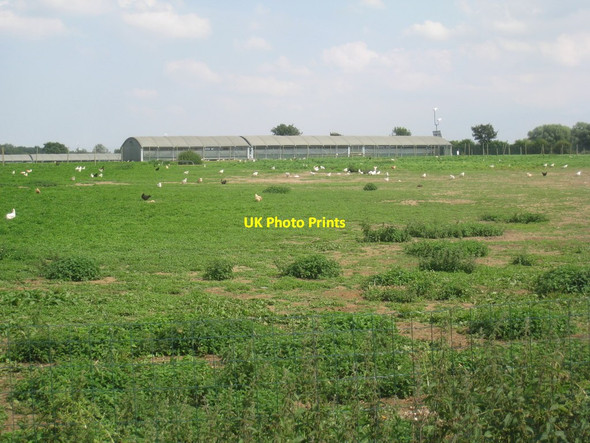 Photo 6"x4" Poultry farm at Kirkby Green Kirkby Green c2012