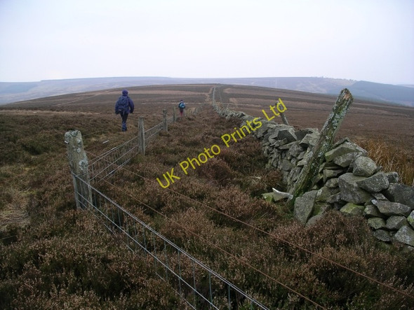 Photo 6"x4" Fence and Wall, Lammer Law Lammer Law c2006