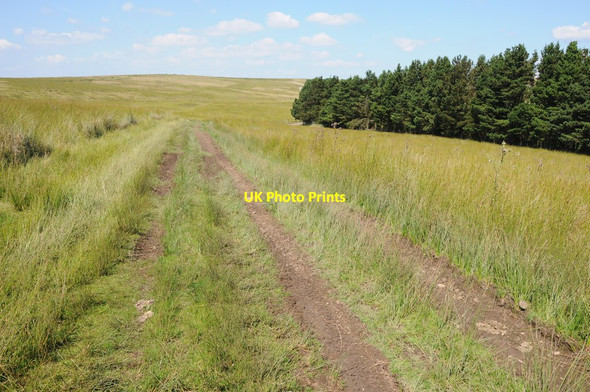 Photo 6"x4" Track near Cwm-du Wood Abersychan c2012