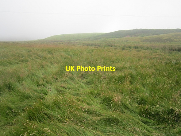 Photo 6"x4" Wetland, Rawburn Longformacus c2012