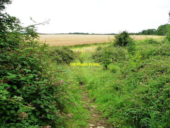 Photo 6"x4" Belwick estate's permitted path Shotley\/SP9297 c2012