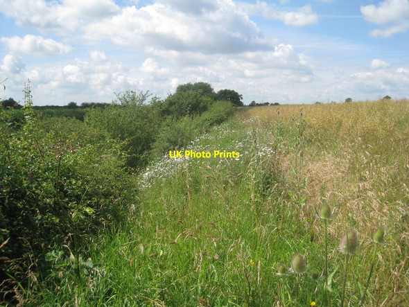Photo 6"x4" The footpath from Barnby in the Willows to Balderton Barnby in the Willows c2012