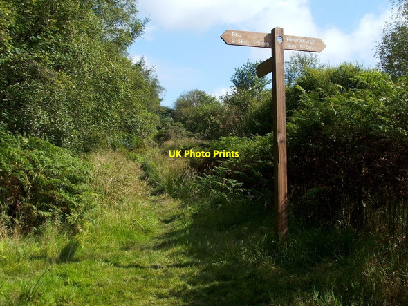 Photo 6"x4" The Three Lochs Way Helensburgh c2012