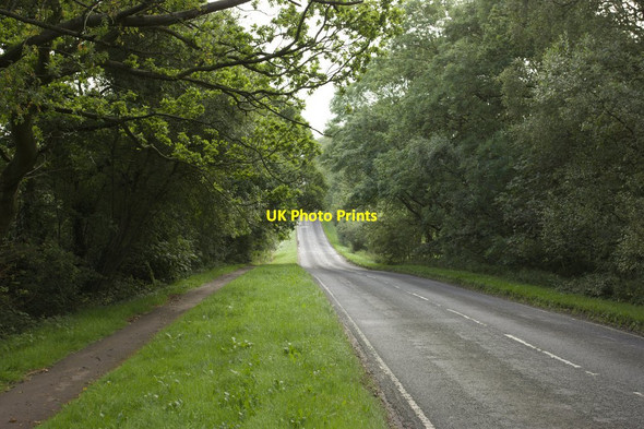 Photo 6"x4" Otley Road B6162 Harrogate c2012