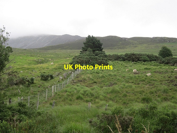 Photo 6"x4" Slopes of Nephin Bofeenaun c2012
