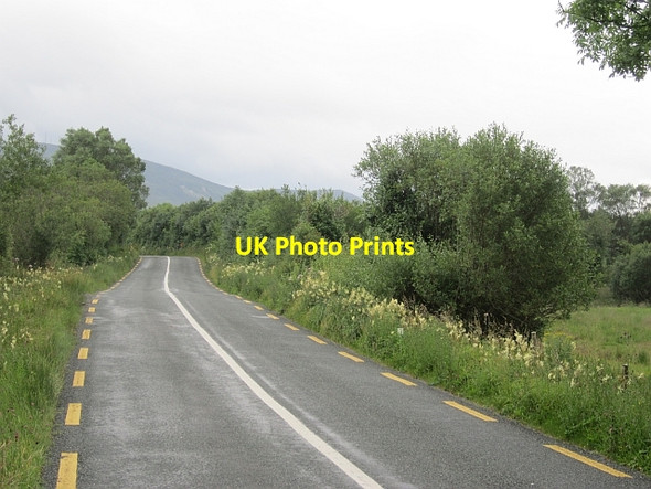 Photo 6"x4" R312, Boggy Cloondaff c2012