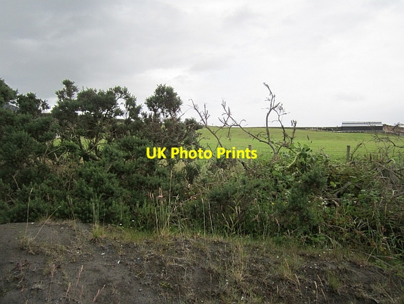 Photo 6"x4" Field, Boggy Bofeenaun c2012
