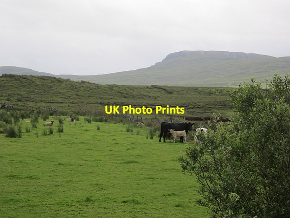 Photo 6"x4" Bogs of Boggy Bofeenaun c2012