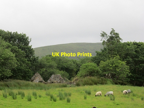 Photo 6"x4" Ruin, Beltra Cloondaff c2012