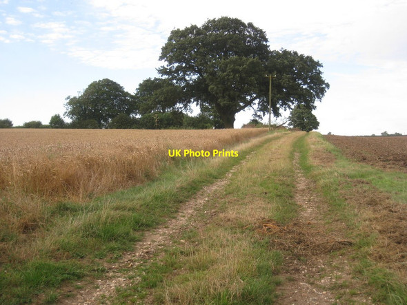 Photo 6"x4" Track to Asterby Grange Hemingby c2012
