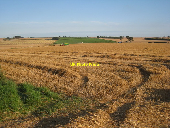 Photo 6"x4" Harvesting wheat near Ranby Ranby\/TF2278 c2012