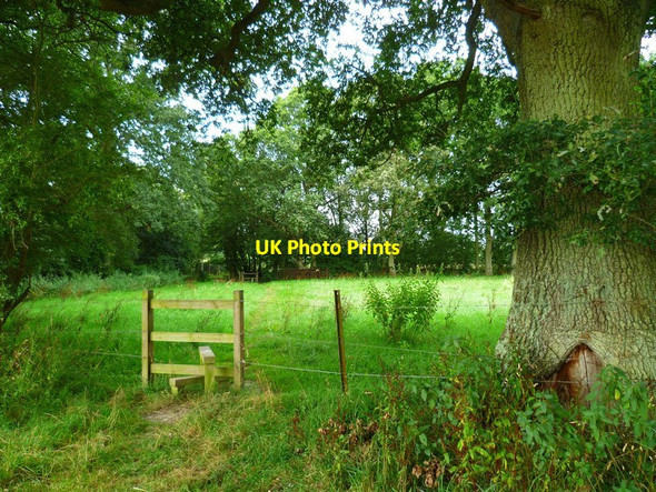 Photo 6"x4" Footpath approaching Wisborough Green from the east Wisborough Green c2012