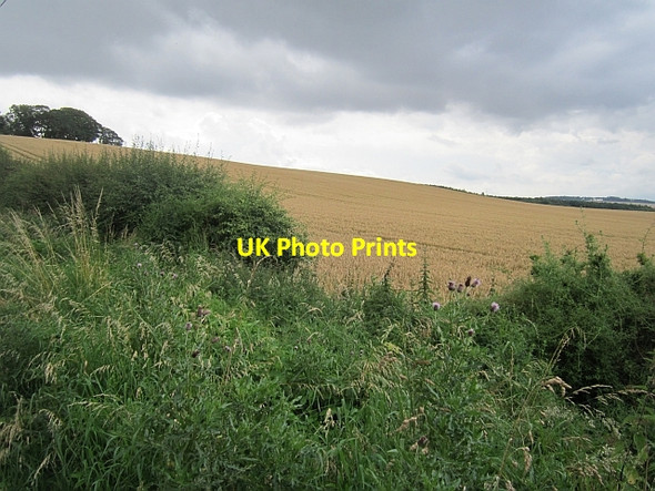 Photo 6"x4" Arable land, Sunlawshill Heiton c2012