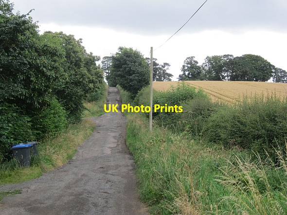 Photo 6"x4" Road to  Sunlawshill Heiton c2012