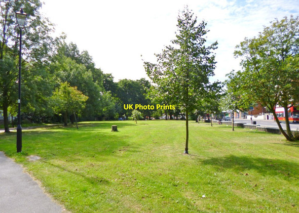 Photo 6"x4" Brixton Hill, Rush Common Streatham c2012