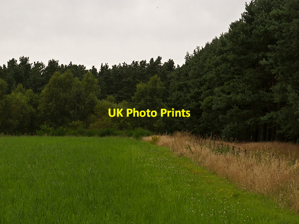 Photo 6"x4" Field boundary near Ladybank Ladybank\/NO3009 c2012