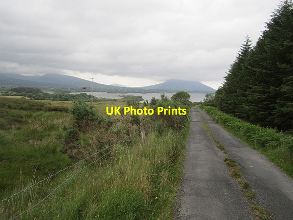 Photo 6"x4" Local road, Muckanagh Glenisland c2012