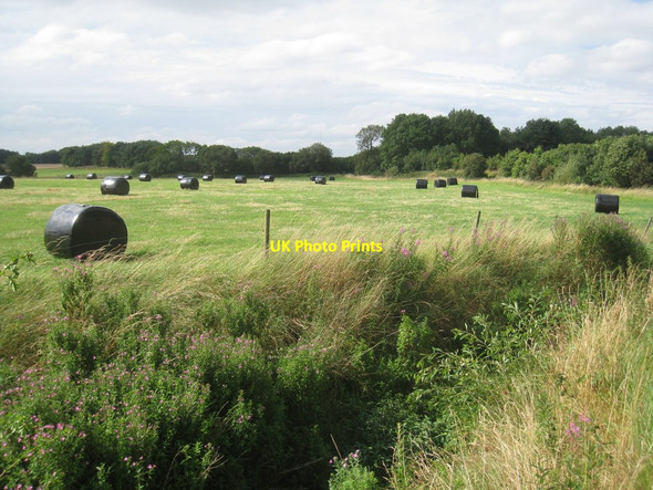 Photo 6"x4" Hay bales near Scamblesby Asterby c2012