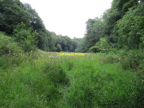 Photo 6"x4" Towards Waterrow Copse Waterrow c2012