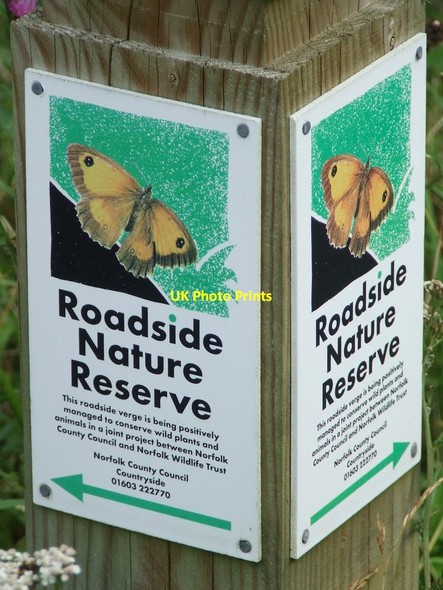 Photo 6"x4" Roadside Nature Reserve Brockdish c2012