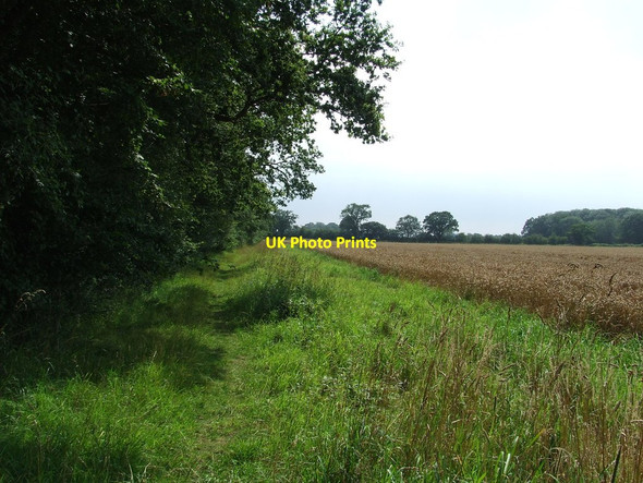 Photo 6"x4" Footpath And Field Edge Rushall\/TM1982 c2012