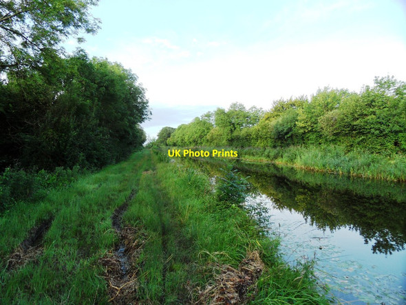 Photo 6"x4" Grand Canal with terrible towpath in Ballyshane, Co. Offaly Belmont\/N0722 c2012