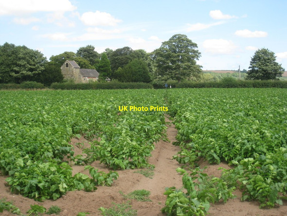 Photo 6"x4" Footpath to Asterby Asterby c2012