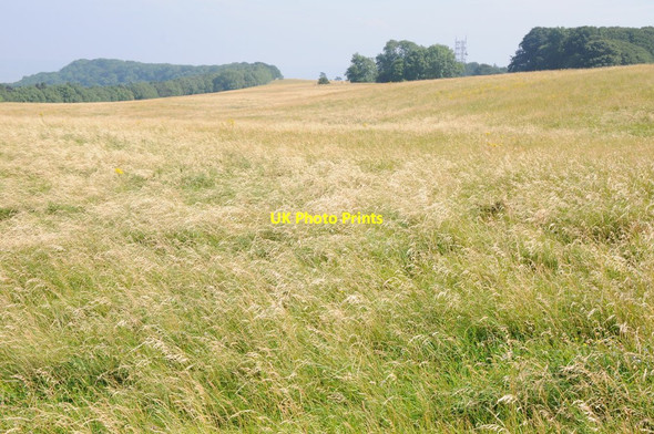 Photo 6"x4" Grassland on Bredon Hill Elmley Castle c2012
