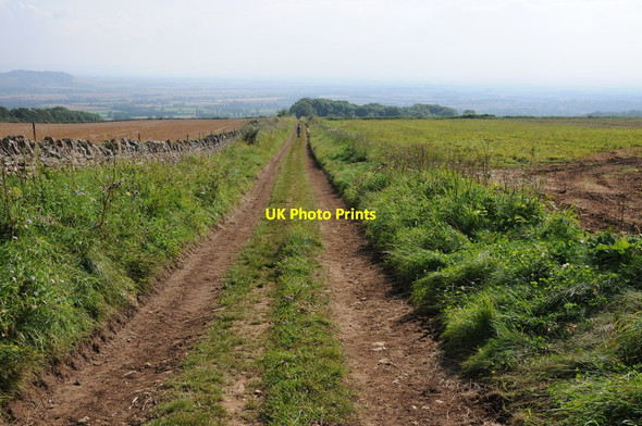 Photo 6"x4" Track descending Bredon Hill Conderton c2012