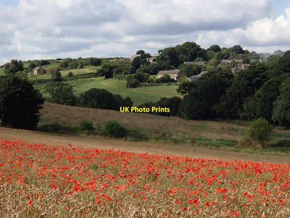 Photo 6"x4" Wheat field with poppies, and view to Astwith Hardstoft c2012