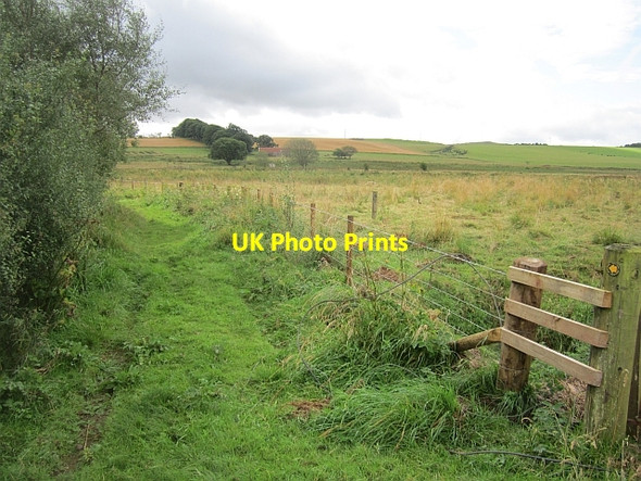Photo 6"x4" Path to Boghouse East Third\/NT6436 c2012